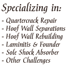 equine hoof repair horse hooves hoof repair farrier horses